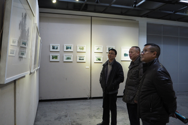 P1061524.jpg